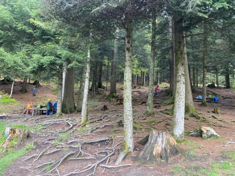 Wanderung